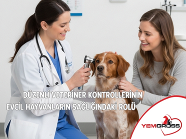 Düzenli Veteriner Kontrollerinin Evcil Hayvanların Sağlığındaki Rolü