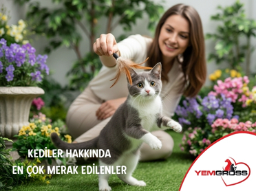 Kediler Hakkında En Çok Merak Edilenler