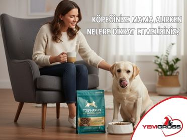 Köpeğinize Mama Alırken Nelere Dikkat Etmelisiniz?