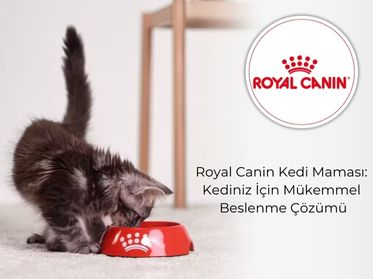 Royal Canin Kedi Maması: Kediniz İçin Mükemmel Beslenme Çözümü