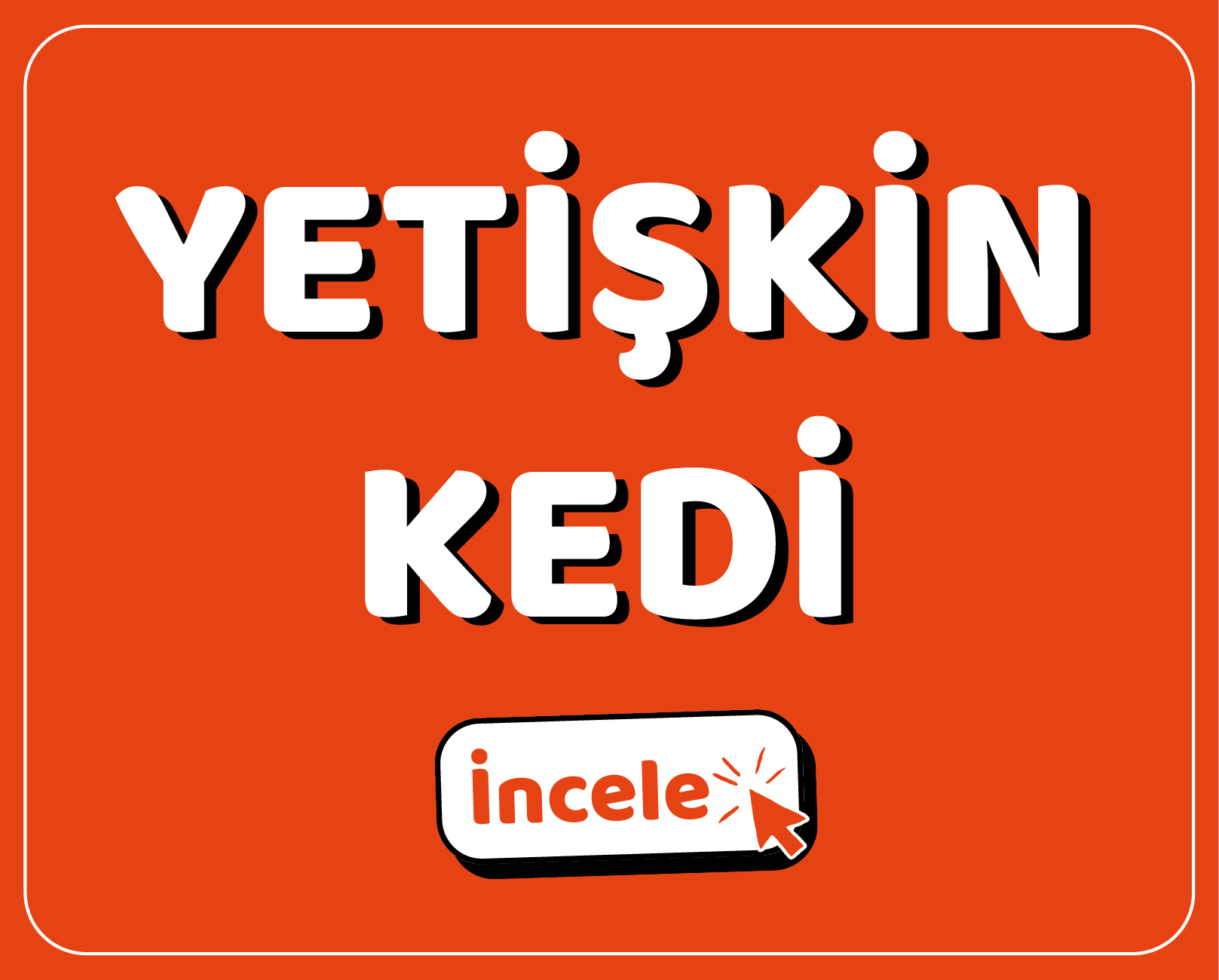 YEMGROSS YEM SANAYİ TICARET LİMİTED ŞİRKETİ Resim - 1