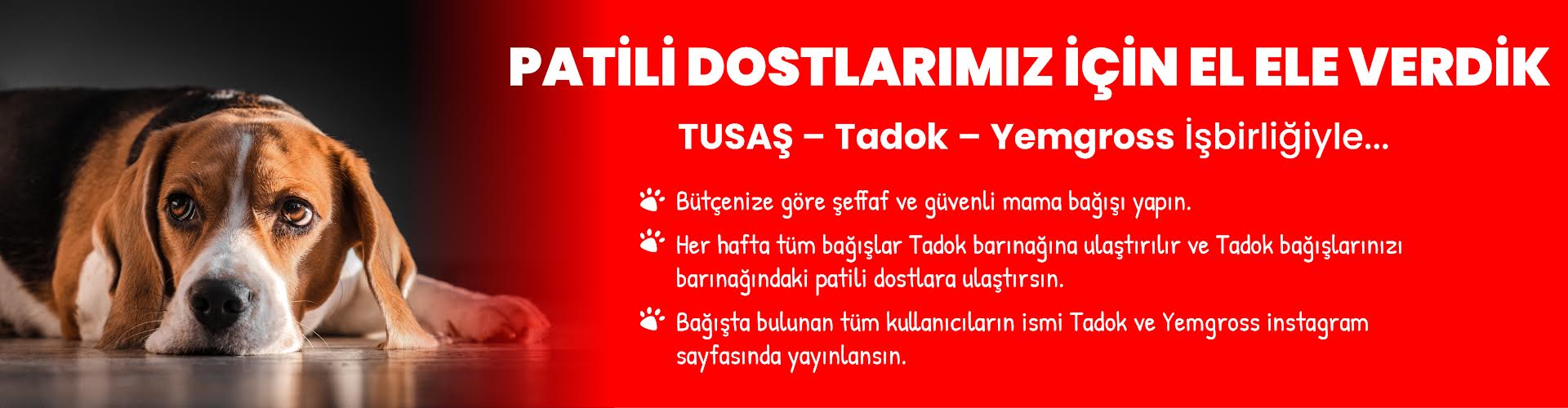 YEMGROSS YEM SANAYİ TICARET LİMİTED ŞİRKETİ - 1