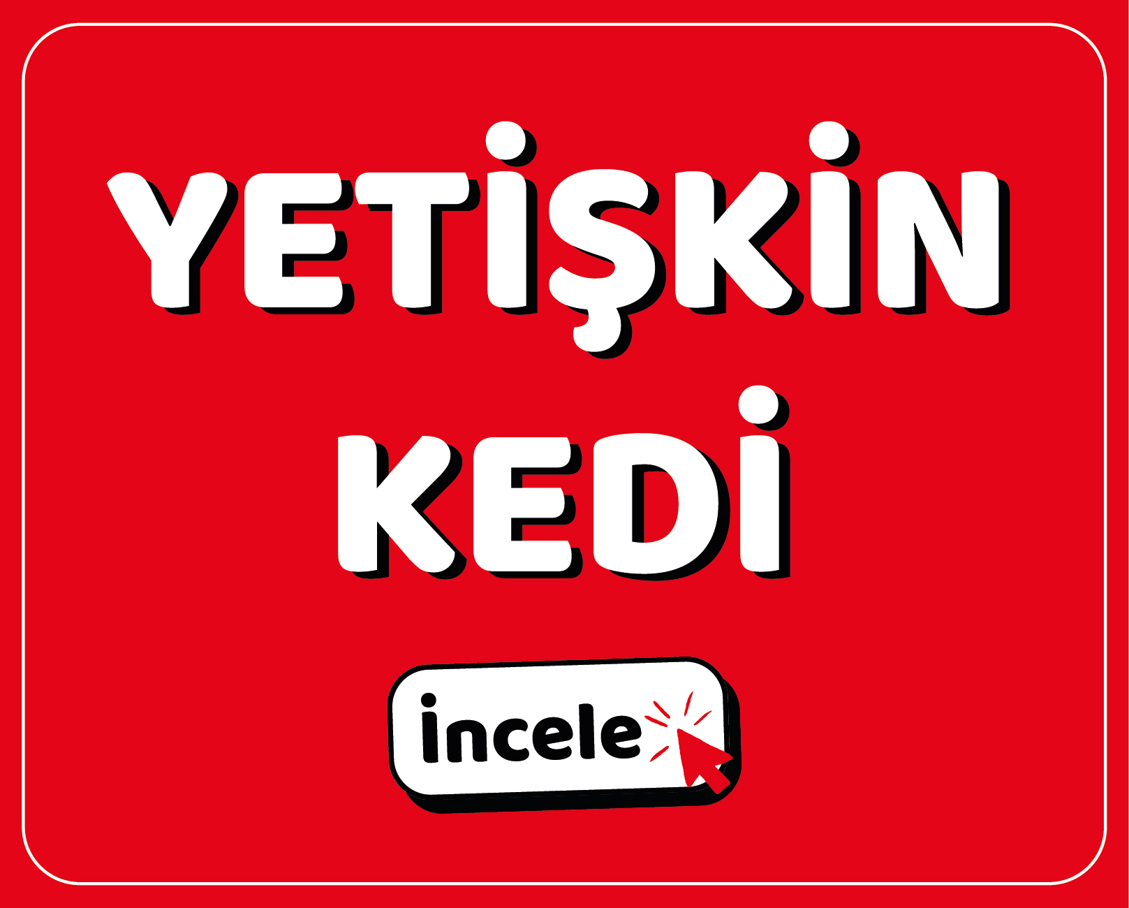 YEMGROSS YEM SANAYİ TICARET LİMİTED ŞİRKETİ Resim - 1