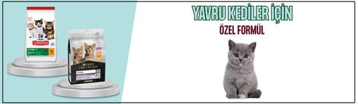 YEMGROSS YEM SANAYİ TICARET LİMİTED ŞİRKETİ Resim - 2