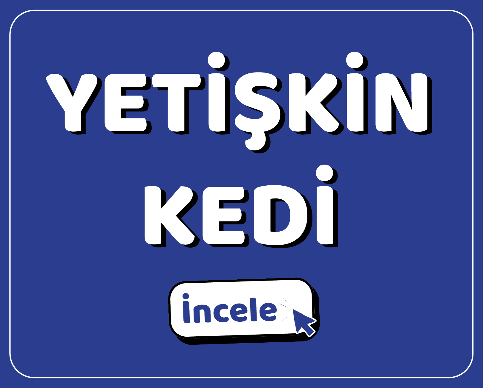 YEMGROSS YEM SANAYİ TICARET LİMİTED ŞİRKETİ Resim - 1