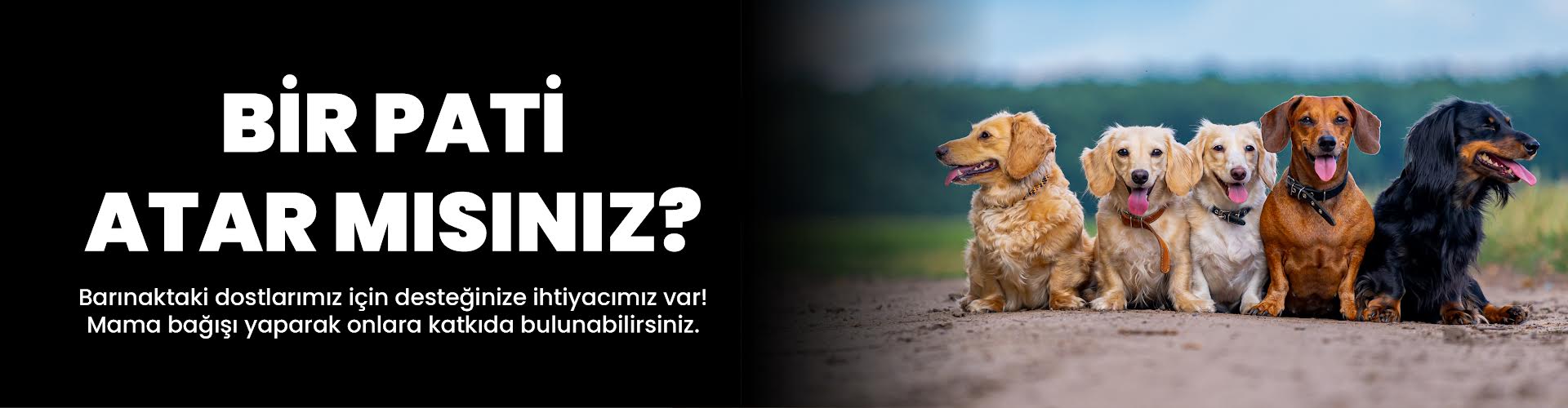 YEMGROSS YEM SANAYİ TICARET LİMİTED ŞİRKETİ Resim - 1
