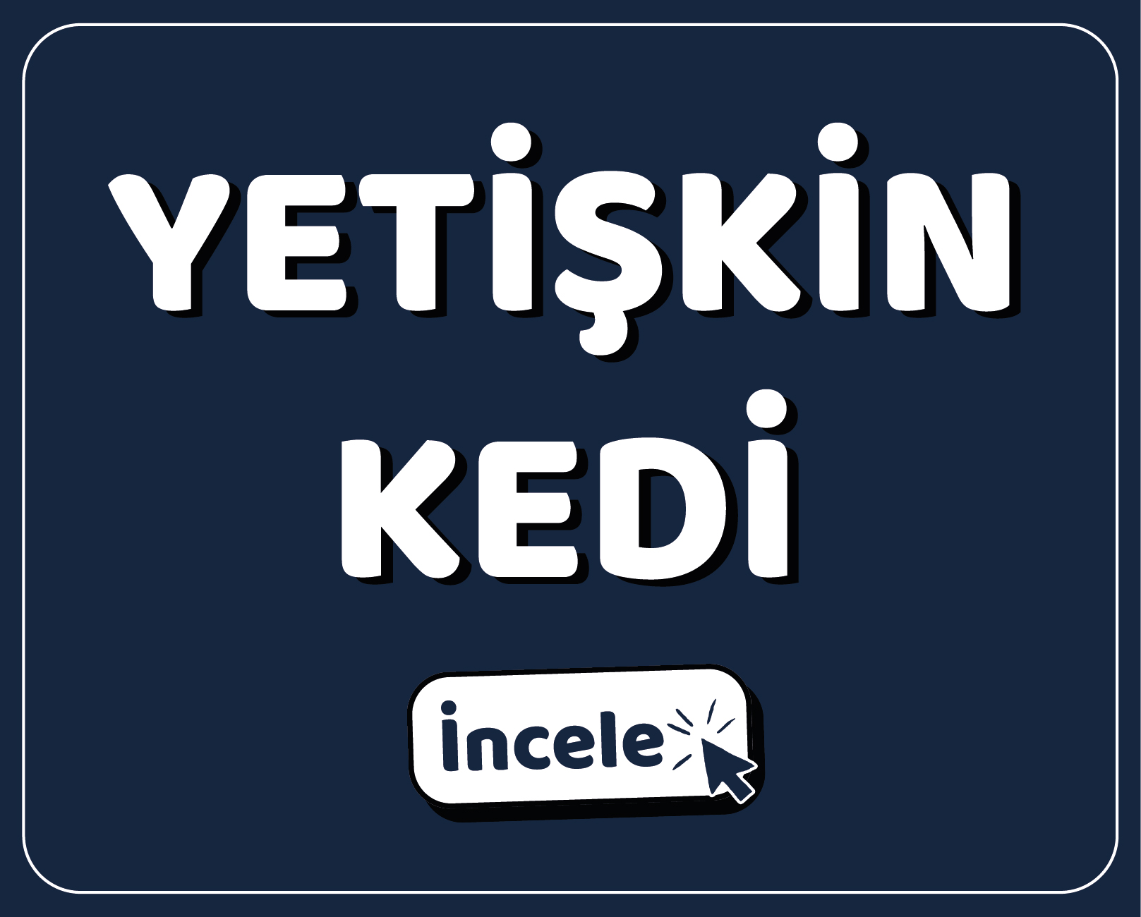 YEMGROSS YEM SANAYİ TICARET LİMİTED ŞİRKETİ Resim - 1