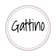 Gattino