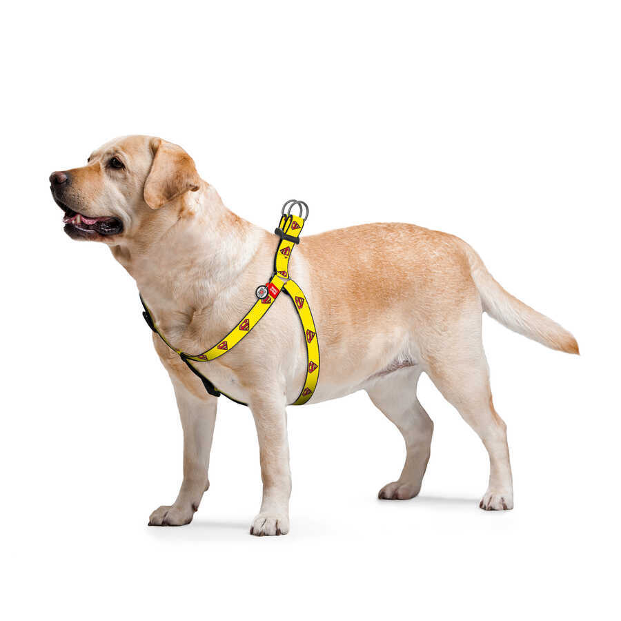 0720-2014 WAUDOG Nylon dog harness with QR passport, "Superman 2" design, plastic fastex, W 20 mm, L 50-80 cm