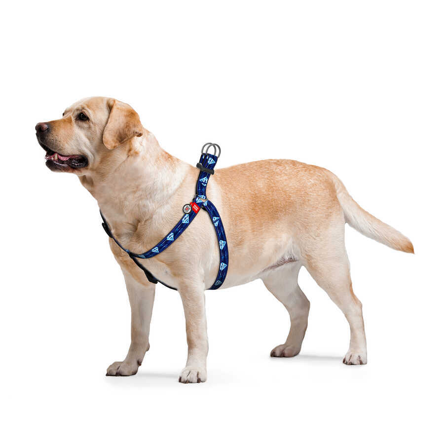 0725-2013 WAUDOG Nylon dog harness with QR passport, "Superman 1" design, plastic fastex, W 25 mm, L 60-90 cm