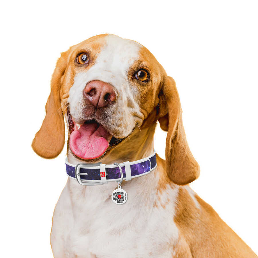 3606-0148-15 WAUDOG Design genuine leather dog collar with QR passport, "NASA21" design, L, W 35 mm L 46-60 cm white
