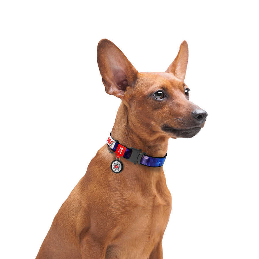 4505-0148 WAUDOG Nylon dog collar with QR-passport, "NASA21" design, metal fastex, XS, W 15 mm, L 23-35 cm