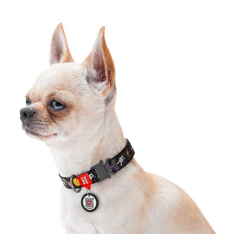 5120-WAUDOG Nylon dog collar with QR passport, "NASA" design, metal fastex, W 20 mm, L 24-40 cm