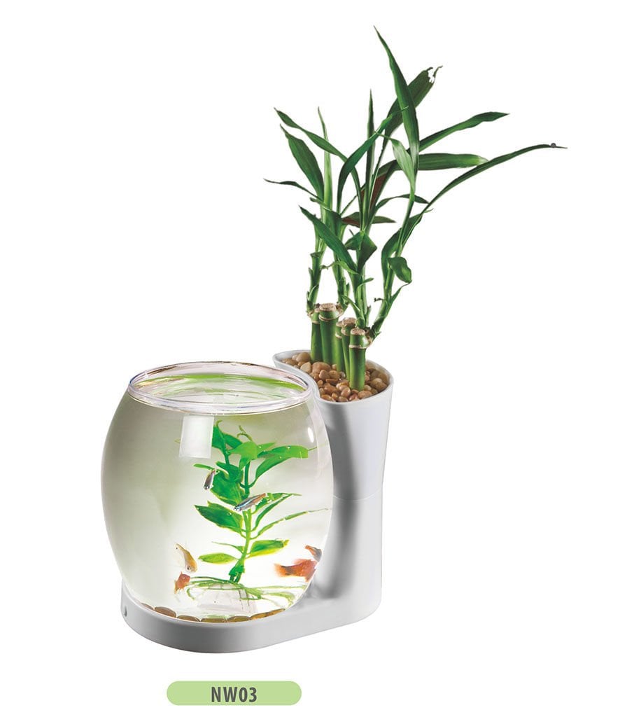 Aquasyncro Akvaryum 3 Lt Işıklı