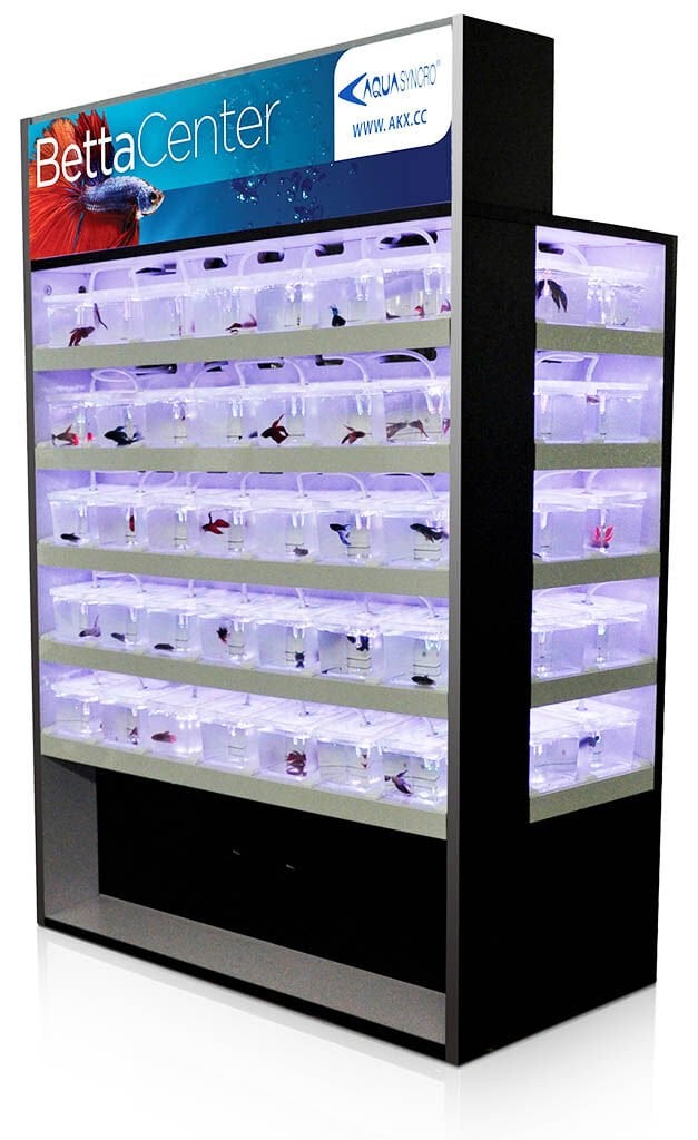 Aquasyncro Beta Mobilya Seti 55 Lik 87x40x112 Cm