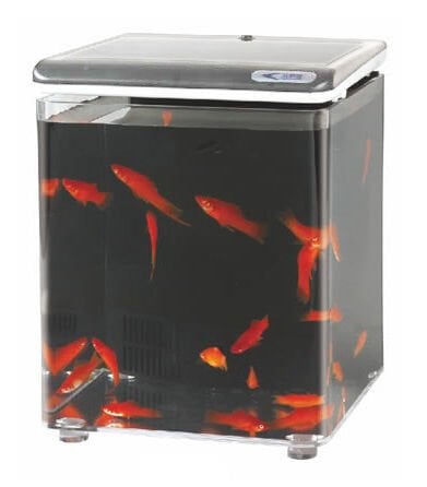 Aquasyncro Fish Home Akvaryum Gümüş 20x20x26 Cm