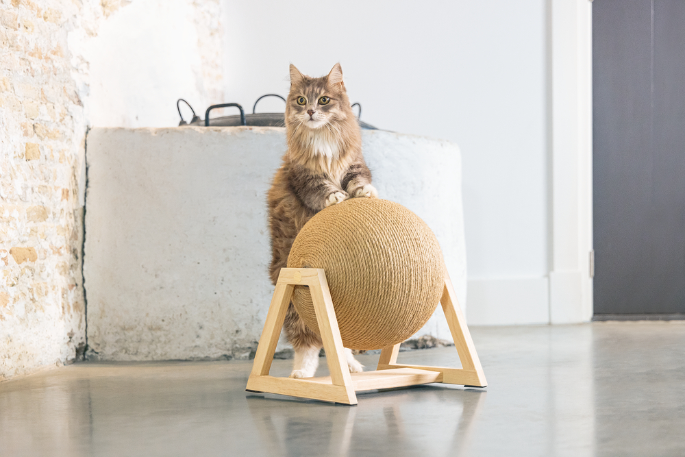 Beeztees DBL Kedi Tırmalama, 34x30x35,5cm