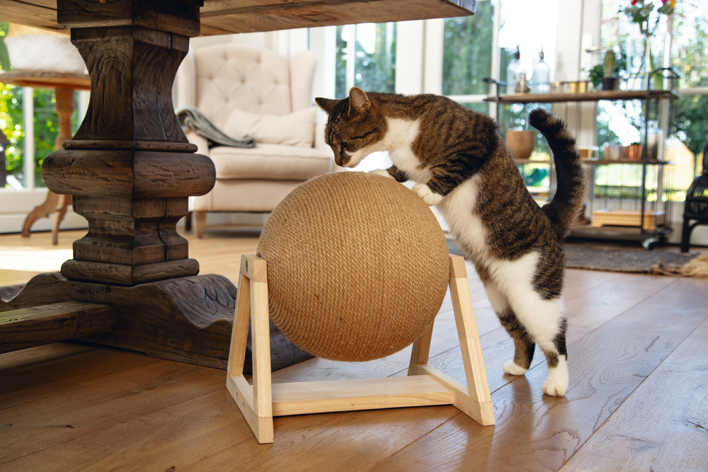 Beeztees DBL Kedi Tırmalama, 34x30x35,5cm
