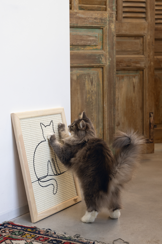 Beeztees DBL Kedi Tırmalama Tahtası, 50x40x2cm