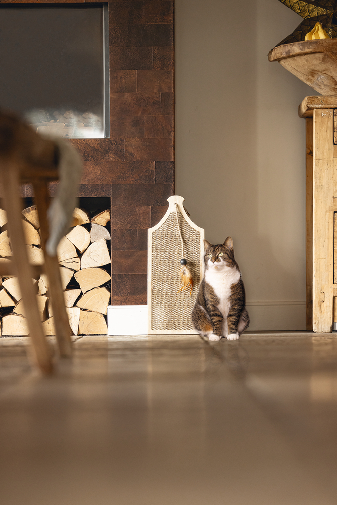 Beeztees DBL Kedi Tırmalama Tahtası ve Oyuncağı, 50x20x2cm