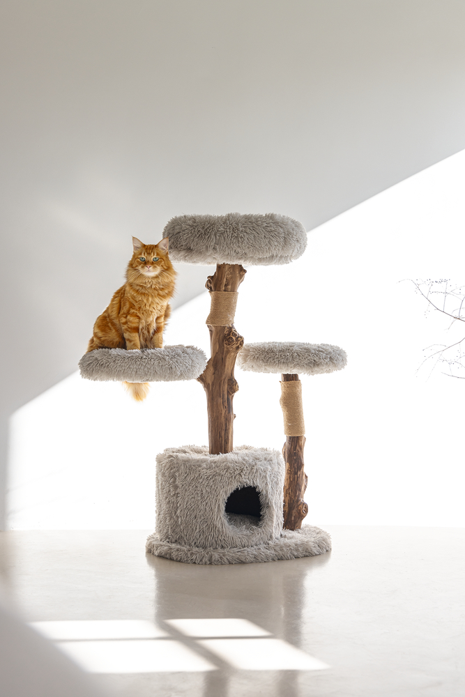 Beeztees DBL Kedi Tırmalama ve Oyun Evi, Doğal, 60x45x100cm