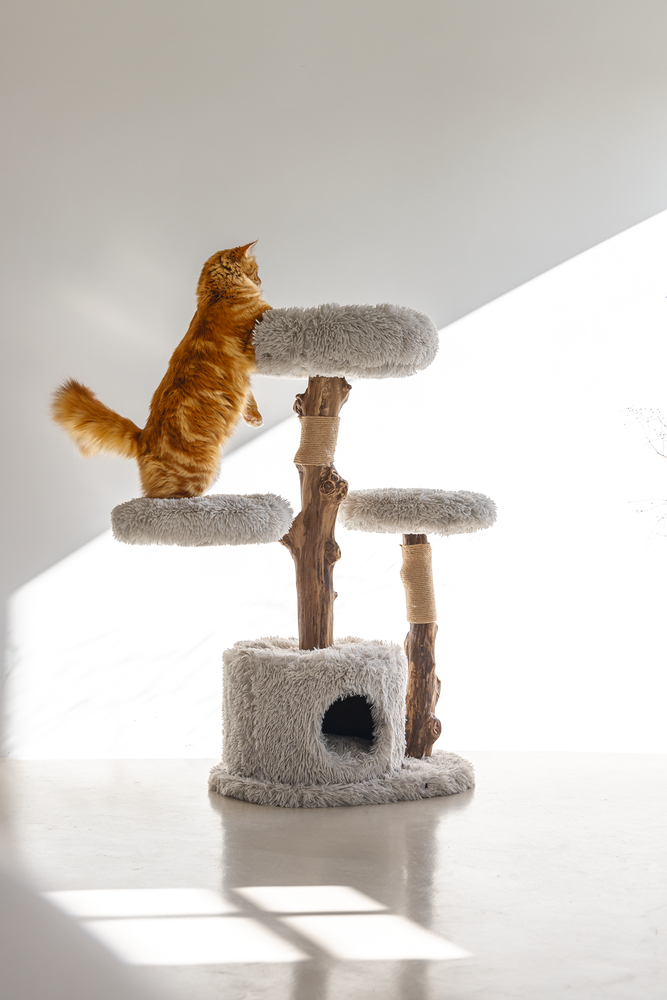 Beeztees DBL Kedi Tırmalama ve Oyun Evi, Doğal, 60x45x100cm