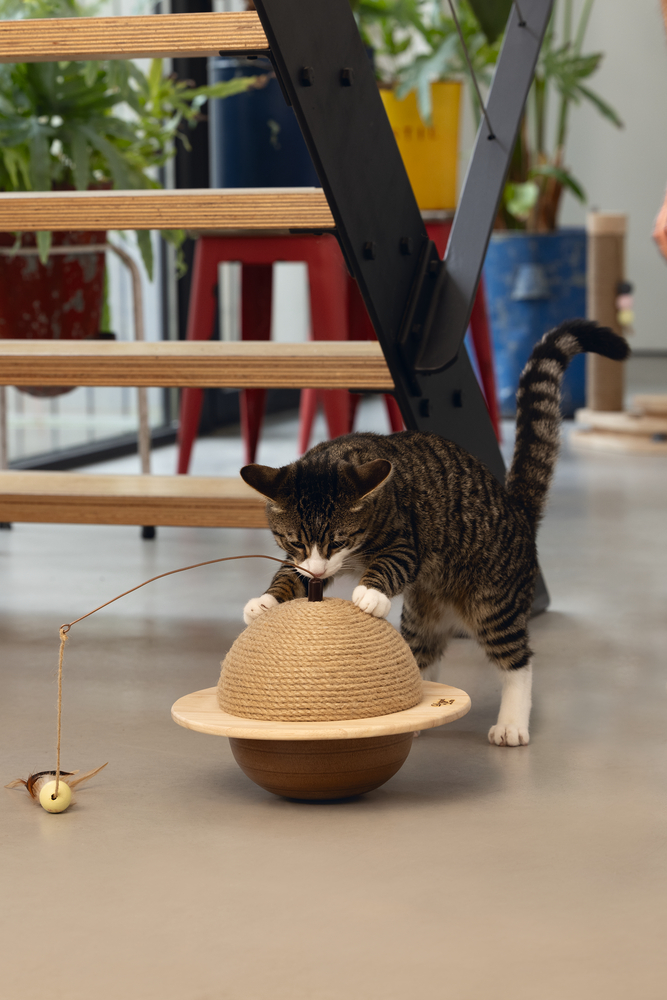 Beeztees DBL Kedi Tırmalama ve Oyuncağı, 29,5x29,5x20cm