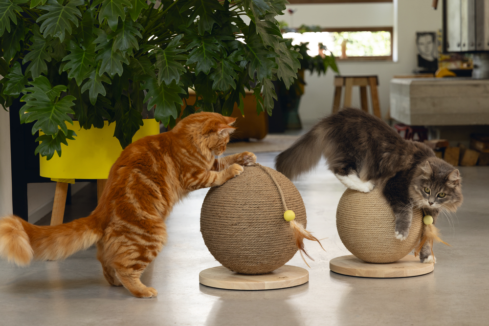 Beeztees DBL Kedi Tırmalama ve Oyuncağı, 30x31x31,5cm