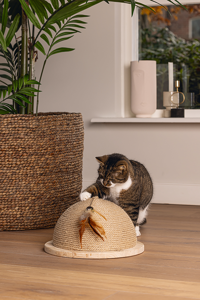 Beeztees DBL Kedi Tırmalama ve Oyuncağı, 34,5x34,5x18cm