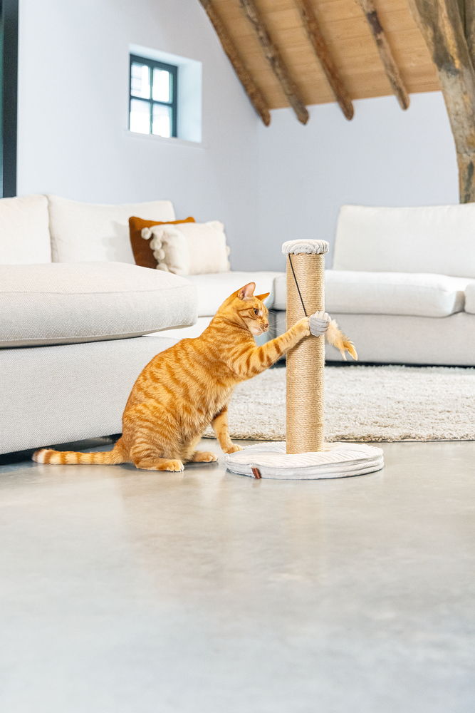 Beeztees DBL Kedi Tırmalama ve Oyuncağı, Açık Gri, 35x35x50cm