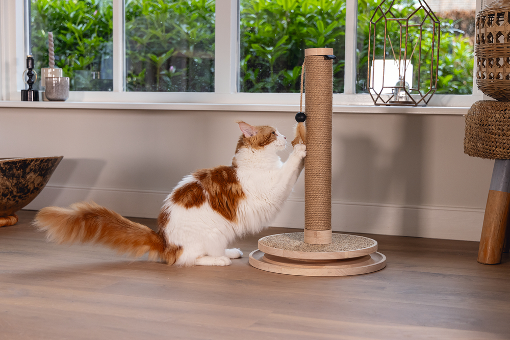 Beeztees DBL Kedi Tırmalama ve Oyuncağı, Kahverengi, 39,5x39,5x62cm