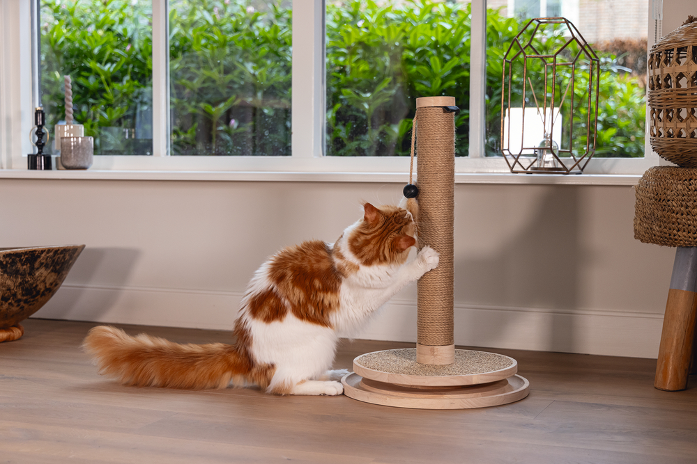 Beeztees DBL Kedi Tırmalama ve Oyuncağı, Kahverengi, 39,5x39,5x62cm