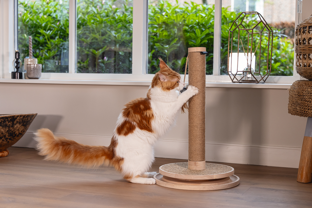 Beeztees DBL Kedi Tırmalama ve Oyuncağı, Kahverengi, 39,5x39,5x62cm