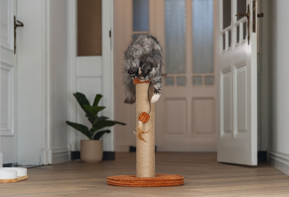 Beeztees DBL Kedi Tırmalama ve Oyuncağı, Toprak Rengi, 35x35x50cm