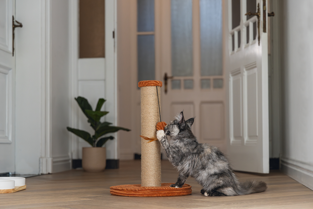 Beeztees DBL Kedi Tırmalama ve Oyuncağı, Toprak Rengi, 35x35x50cm