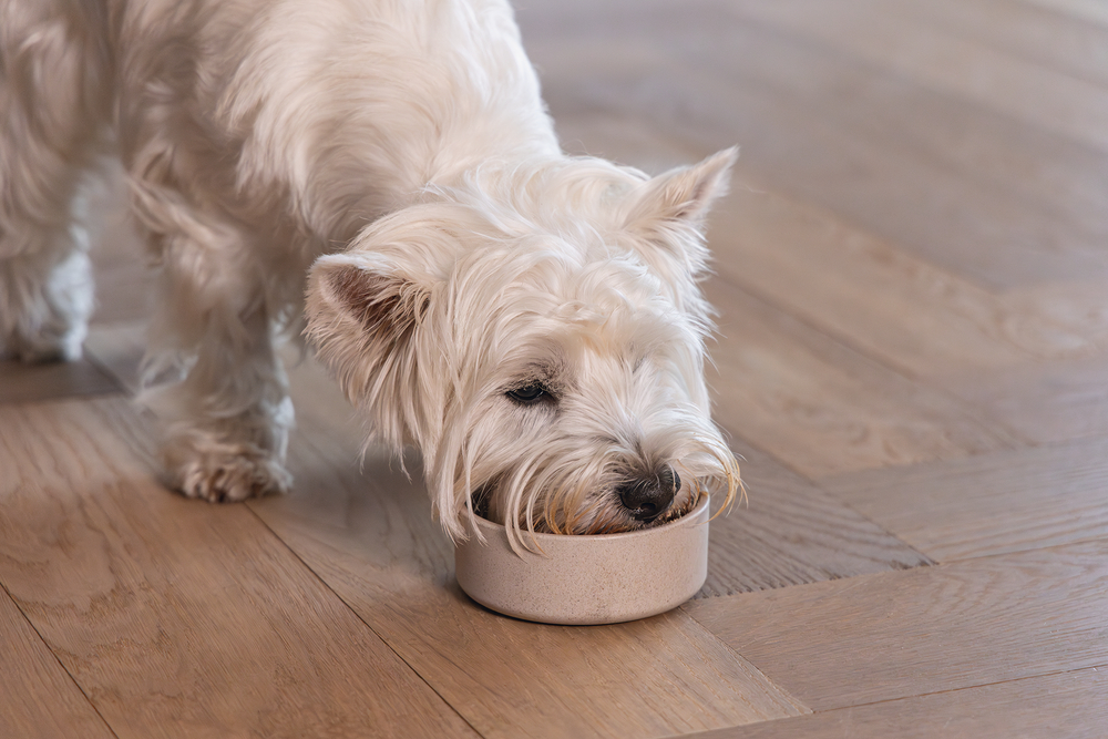 Beeztees DBL Köpek Mama Su Kabı, Bambu, Bej, 12cm, 300ml