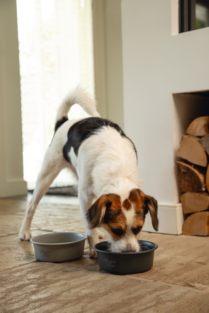 Beeztees DBL Köpek Mama Su Kabı, Mat Siyah Paslanmaz Çelik, 16cm, 940ml