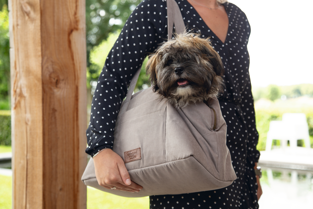 Beeztees DBL Köpek Taşıma Çantası, Yıkanabilir, 6,5Kg'ye kadar, Bej, 40x20x28cm