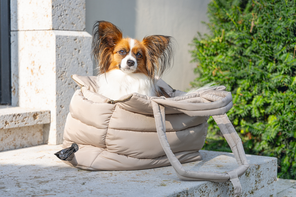 Beeztees DBL Köpek Taşıma Çantası, Yıkanabilir, 6,5Kg'ye kadar, Bej, 42x20x35cm