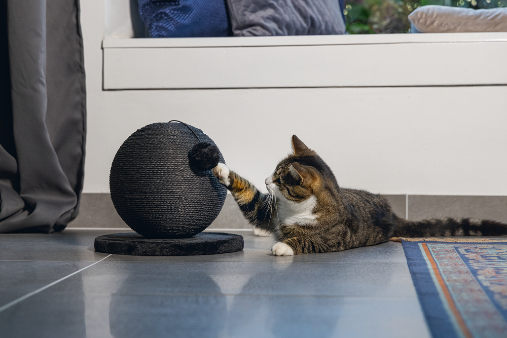 Karlıe Kedi Tırmalama Küresi Bolly Siyah 30.5cm