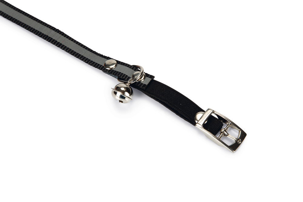 Beeztees Kedi Boyun Tasması, Fosforlu Siyah, 24,5-29,5cm