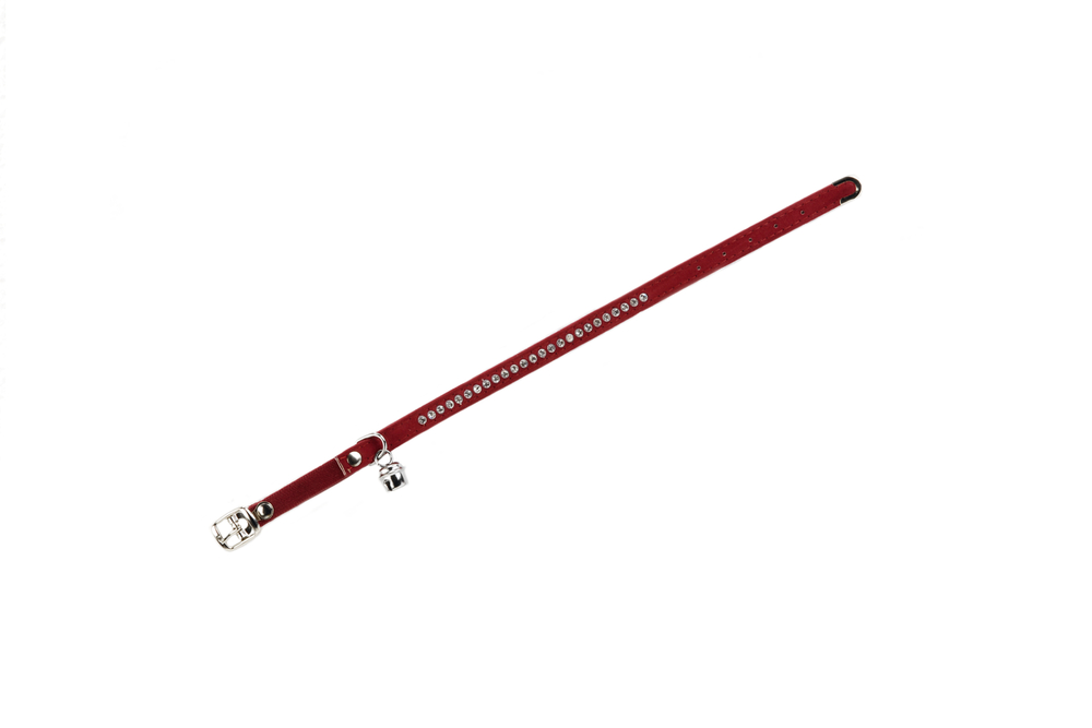 Beeztees Kedi Boyun Tasması, Swarovski Taşlı, Kırmızı, 24,5-30cm