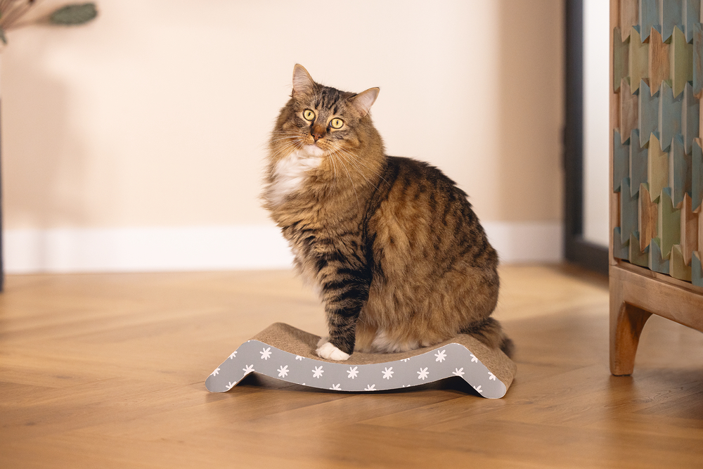 Beeztees Kedi Karton Tırmalama, 44,5cm