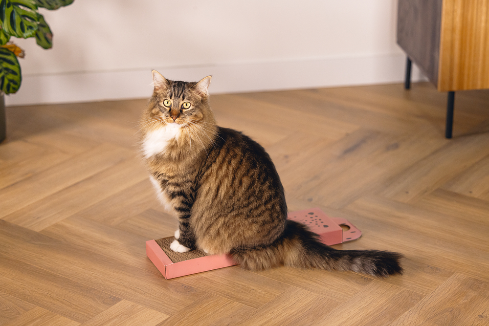 Beeztees Kedi Karton Tırmalama, Pembe, 45cm