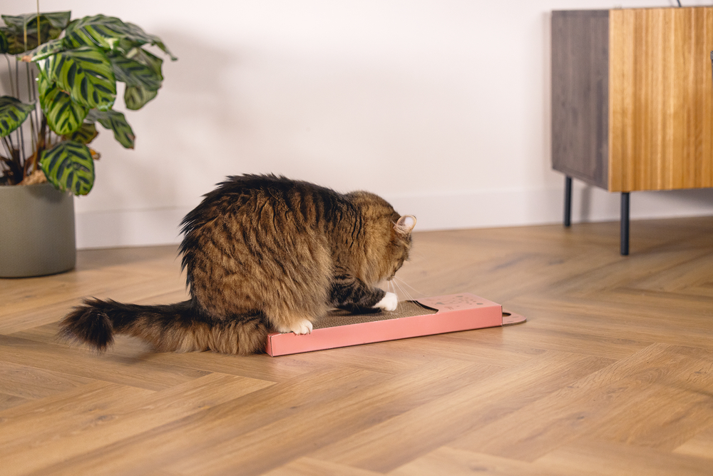 Beeztees Kedi Karton Tırmalama, Pembe, 45cm