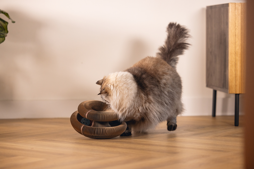 Beeztees Kedi Karton Tırmalama ve Oyuncağı, 24x10cm