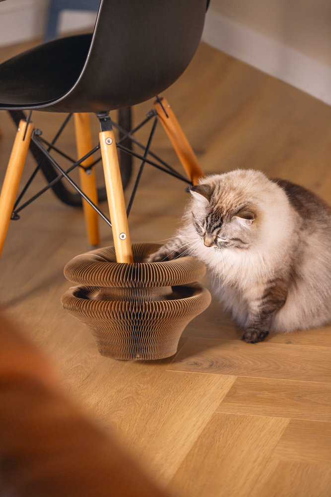Beeztees Kedi Karton Tırmalama ve Oyuncağı, 38x10cm