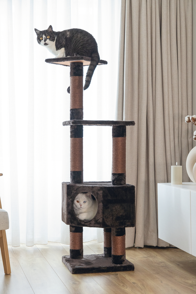 Beeztees Kedi Köşe Tırmalama ve Oyun Evi, Kahverengi, 40x40x135cm