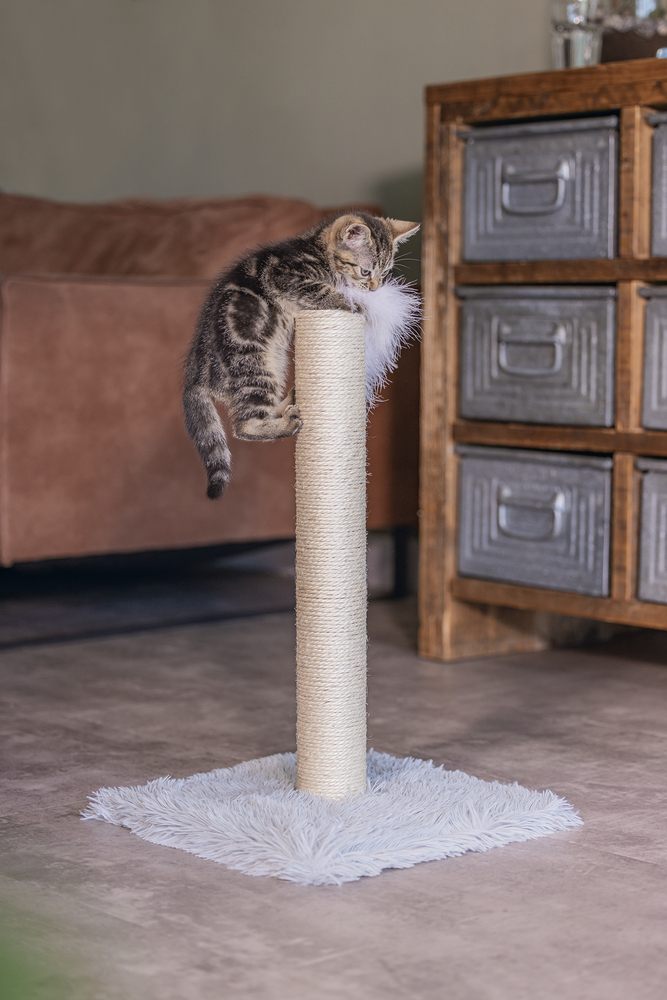 Beeztees Kedi Tırmalama ve Oyuncağı, Gri, 35x35x53cm