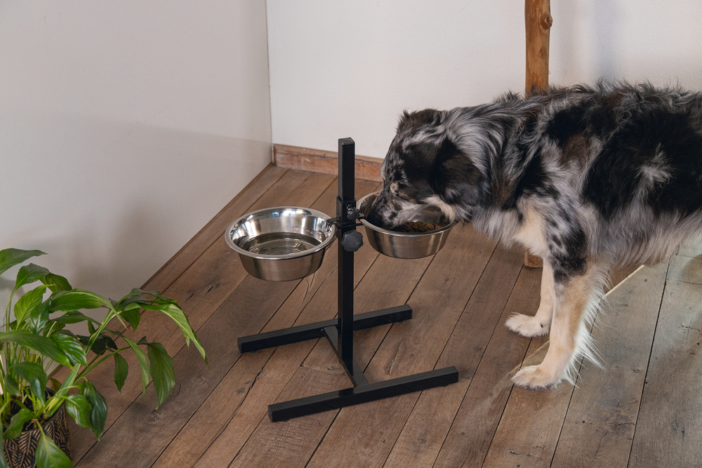 Beeztees Köpek İkili Mama Su Kabı, Ayaklı, Paslamaz Çelik, 25cm, 2x2,5L